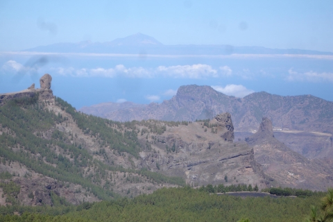 Z Palmas: Pico de las Nieves i Roque Nublo - całodniowa wycieczka