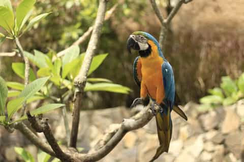Lombok: 3-Course Lunch at Rainforest Wildlife Park