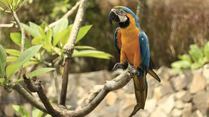 lombok 3course lunch at rainforest wildlife park