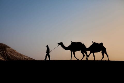 Deserto di Agafay: giro in cammello al tramonto da Marrakech