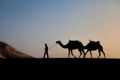 Depuis Marrakech : balade en chameau dans le désert d'Agafay