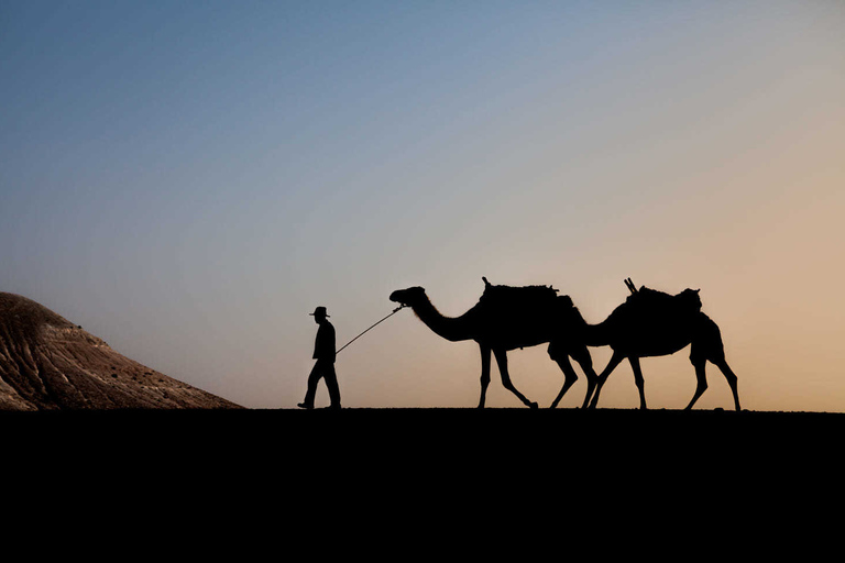 Depuis Marrakech : balade en chameau dans le désert d'Agafay