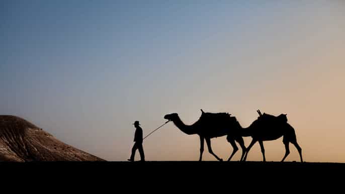 from marrakech sunset camel ride in agafay desert