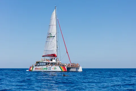 Alcudia: Sunset Katamaran Tour mit Abendessen und Schnorcheln