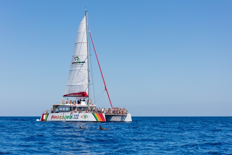 Alcudia: zonsondergang catamarantour met diner en snorkelenAlcudia: catamarantour bij zonsondergang met diner en snorkelen