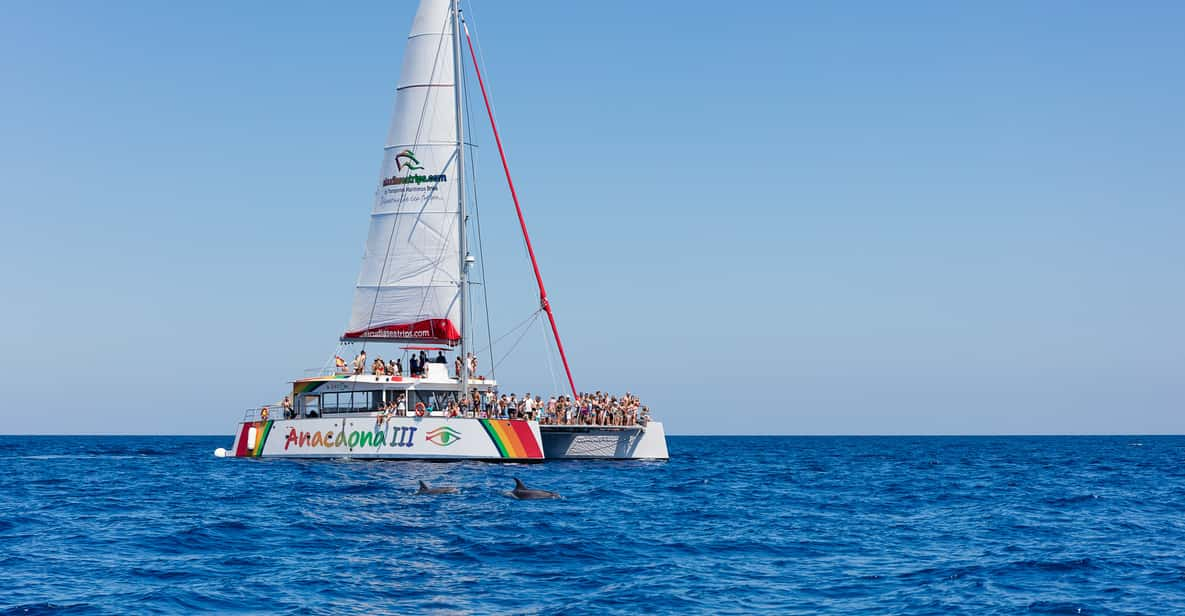 catamaran tour alcudia