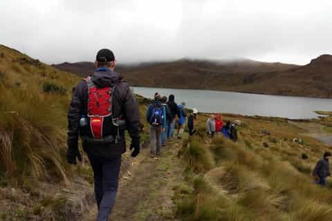 From Quito: Guided Volcano Tour in Antisana National Reserve