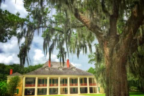 nueva orleans recorrido por la plantación y el pantano de destrehan
