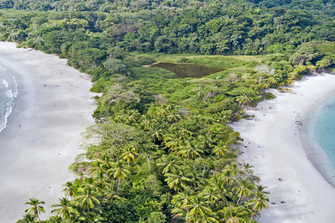 Manuel Antonio: Manuel Antonio National Park TourTur med upphämtning från Manuel Antonio och Quepos