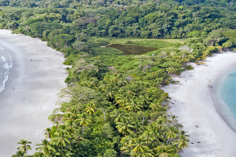 Manuel Antonio: Excursión al Parque Nacional de Manuel AntonioExcursión con servicio de recogida en Manuel Antonio y Quepos