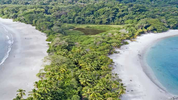 manuel antonio national park 3hour guided tour