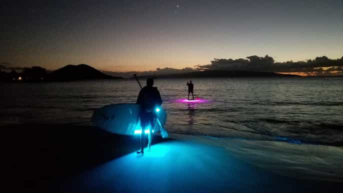 maui glow standup paddleboarding night tour