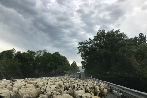 Kahketi: wijnproeverij van een hele dag met lunch