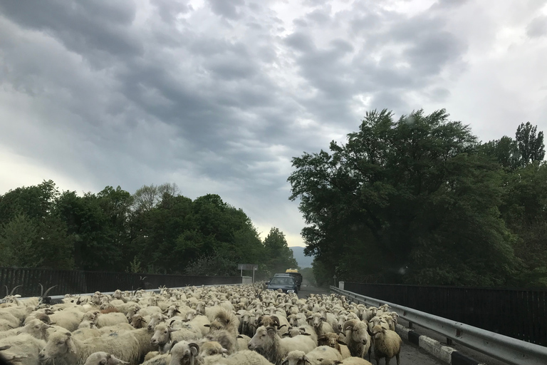 Kahketi: Ganztägige Weinverkostungstour mit Mittagessen