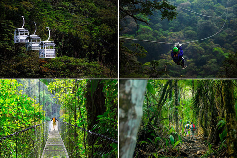 COSTA RICA:UPPTÄCK COSTARICAS VILDA DJUR-STRAND &amp; SKOG 2VECKOR