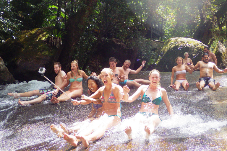 Atherton Tablelands : Lacs, chutes d'eau, forêt tropicale - Excursion d'une journée