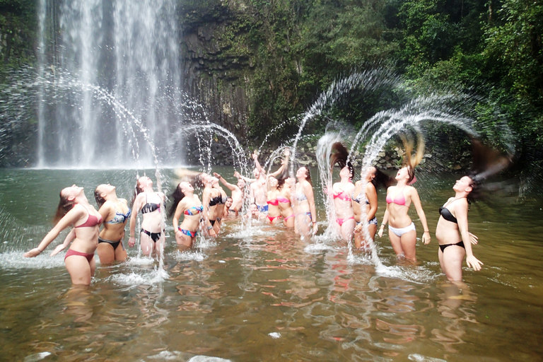 Tablillas de Atherton: Excursión de un día a Lagos, Cascadas y Selva Tropical