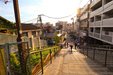 District de Yanaka : Visite historique à pied dans la vieille ville de Tokyo