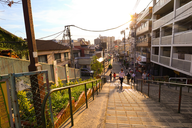 Distrito de Yanaka: Recorrido histórico a pie por el casco antiguo de Tokio