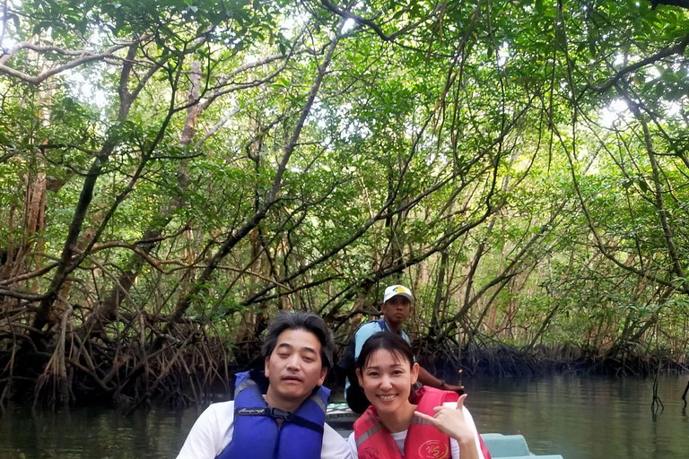 Bintan car charter + Driver Bintan Car Rent
