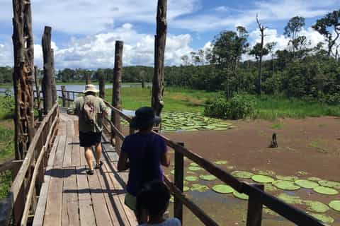 da manaus tour di mezza giornata sul rio delle amazzoni