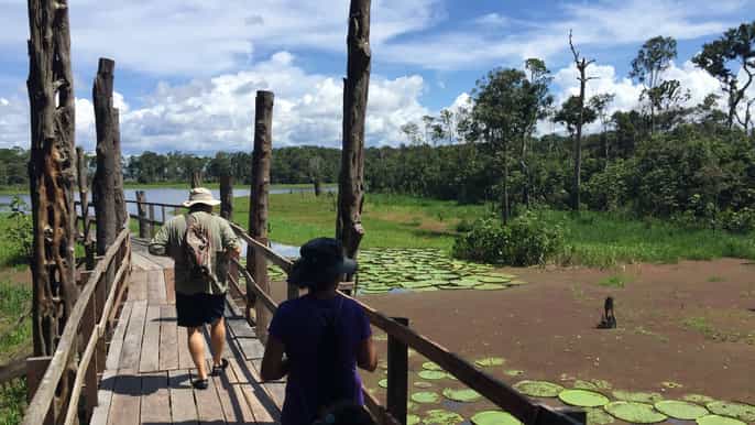 desde manaos recorrido de medio día por el río amazonas