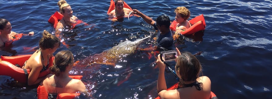 Depuis Manaus : Excursion d'une demi-journée sur le fleuve Negro
