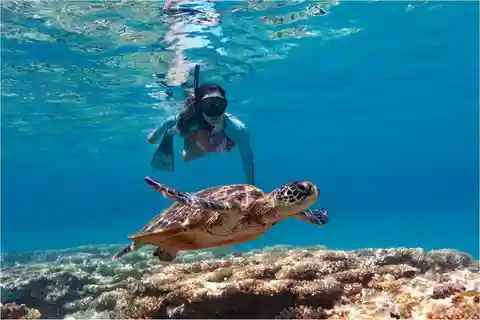 Bali: Snorkeling w Błękitnej Lagunie z lunchem i transportem