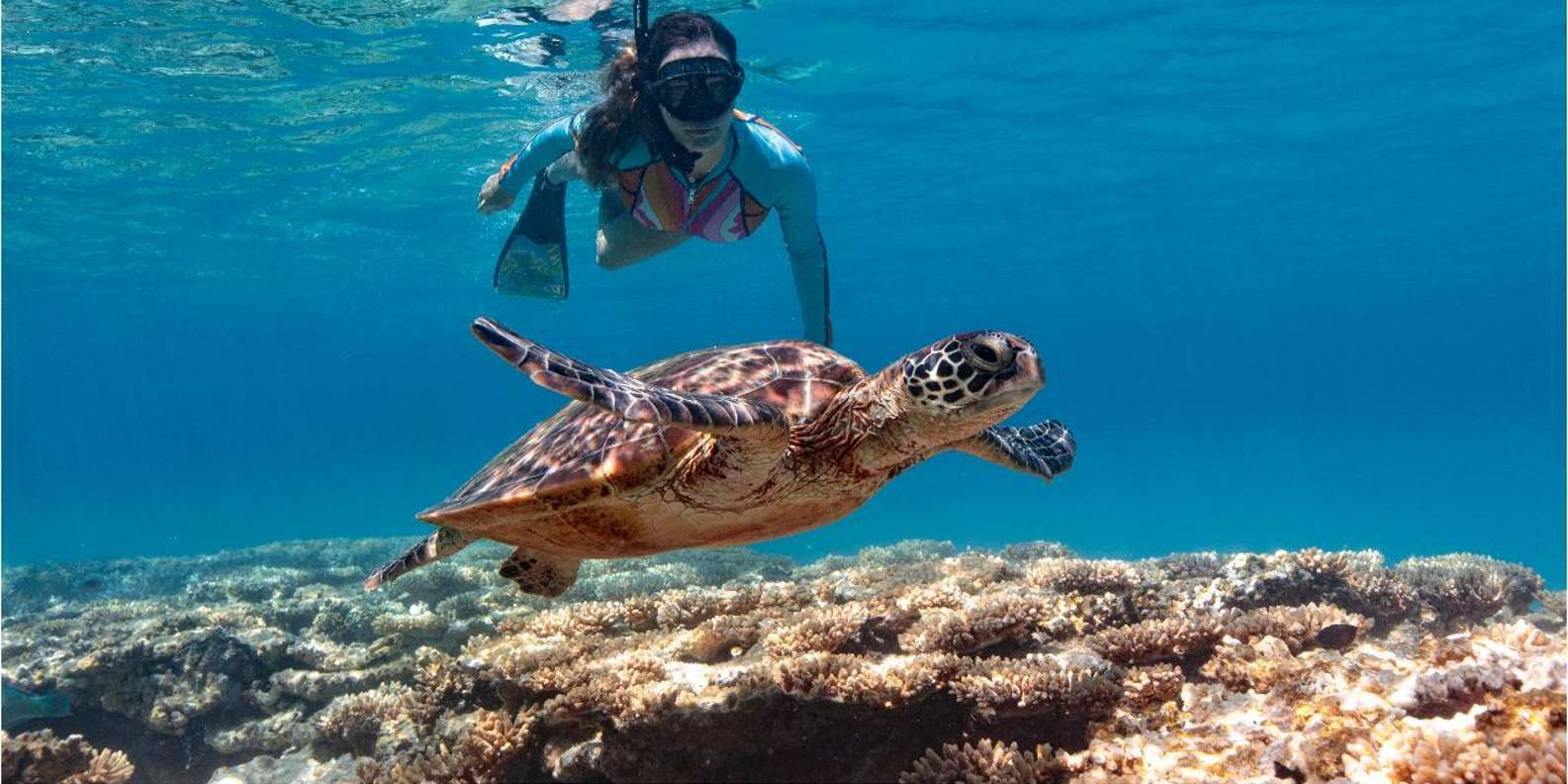 Bali: Blue Lagoon Snorkeling with Lunch & Transport