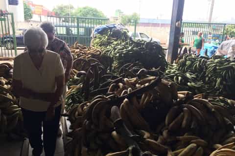 Manaus: Vanhan kaupungin opastettu kierros plus Amazonin joen veneretki