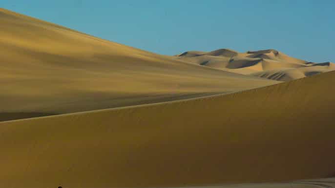 walvis bay 4hour namib desert and dunes photography tour