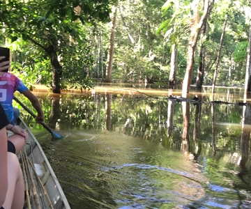 De Manaus: Experiência de um dia na selva amazónica