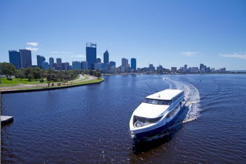 Swan River: crociera di andata e ritorno da Perth o Fremantle
