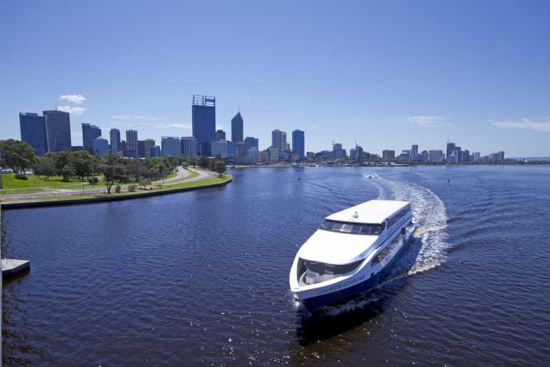 Swan River RoundTrip Cruise from Perth or Fremantle GetYourGuide