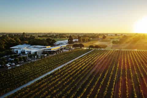 De Perth: croisière, établissement vinicole, fromage et déjeuner à Swan Valley
