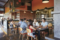 From Perth, Swan Valley Cruise, Winery, Cheese & Lunch - Housity