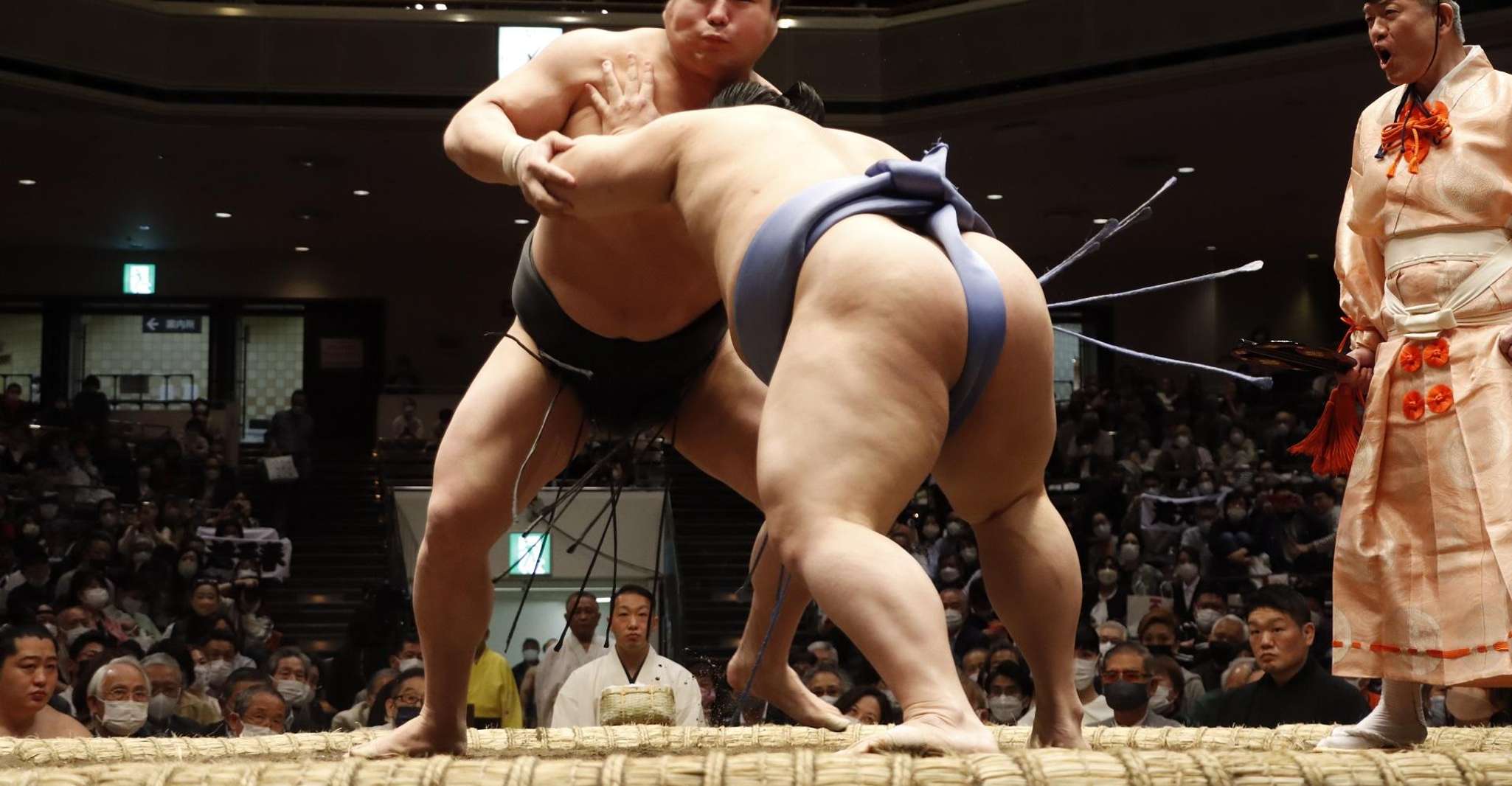 Tokyo: Grand Sumo Tournament Viewing Tour (May, 2026) photo 6