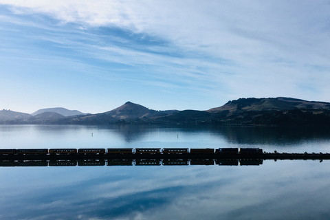 Dunedin: Peninsula with Lanarch Castle gardens & Olveston
