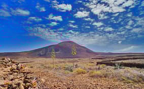 - Canarie.it