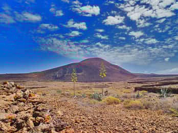 Fuerteventura: Excursão de trekking pelo norte da ilha