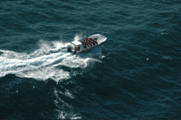 Bahía Plettenberg, crucero en barco de observación de ballenas - Hizvo