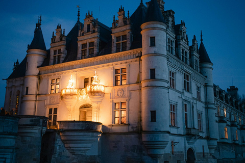 Chenonceaux: Château and Gardens Walking Tour with Entry