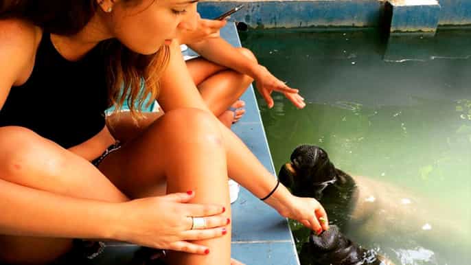 iquitos city tour with museums and amazon rescue visit