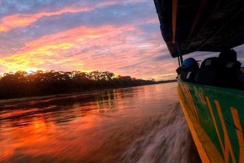 Amazonie 2 jours, 1 nuit Iquitos - Ancêtres de la jungleAu départ d'Iquitos : Excursion de 2 jours et 1 nuit dans la jungle