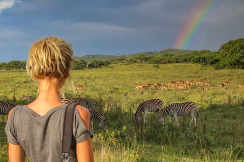 iSimangaliso: Guided Walking Safari