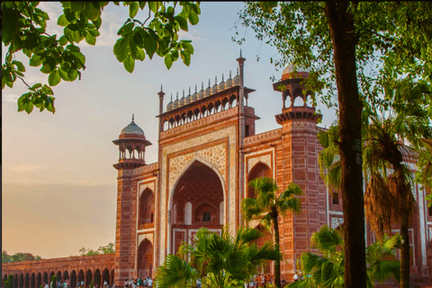 Agra: Full-Day City Tour met Taj Mahal en Fort AgraStandaard optie