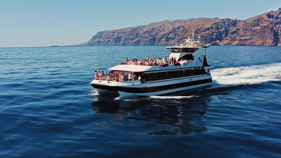 Tenerife whale and dolphin watching cruise reviews