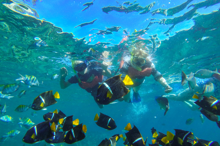 Vallarta: Yelapa Waterfall & Majahuitas Snorkel Adventure