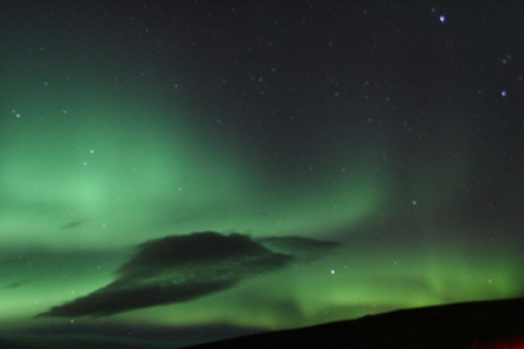Desde Reikiavik: avistamiento de ballenas y aurora boreal