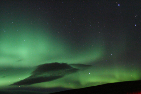 From Reykjavík: Whale Watching and Northern Lights Combo